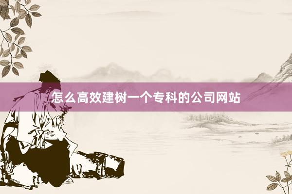 怎么高效建树一个专科的公司网站
