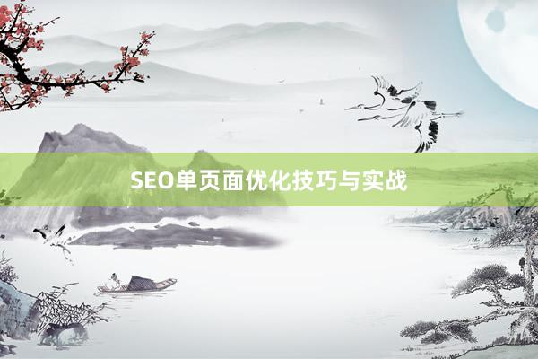 SEO单页面优化技巧与实战