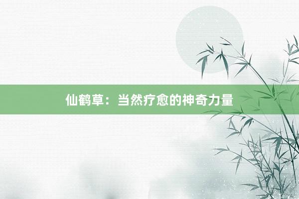 仙鹤草：当然疗愈的神奇力量