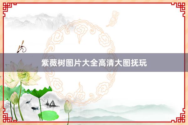 紫薇树图片大全高清大图抚玩