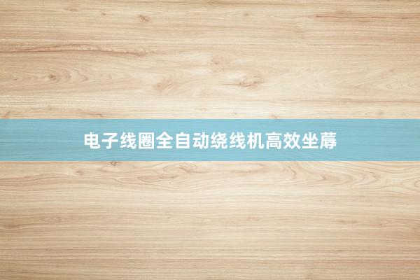 电子线圈全自动绕线机高效坐蓐